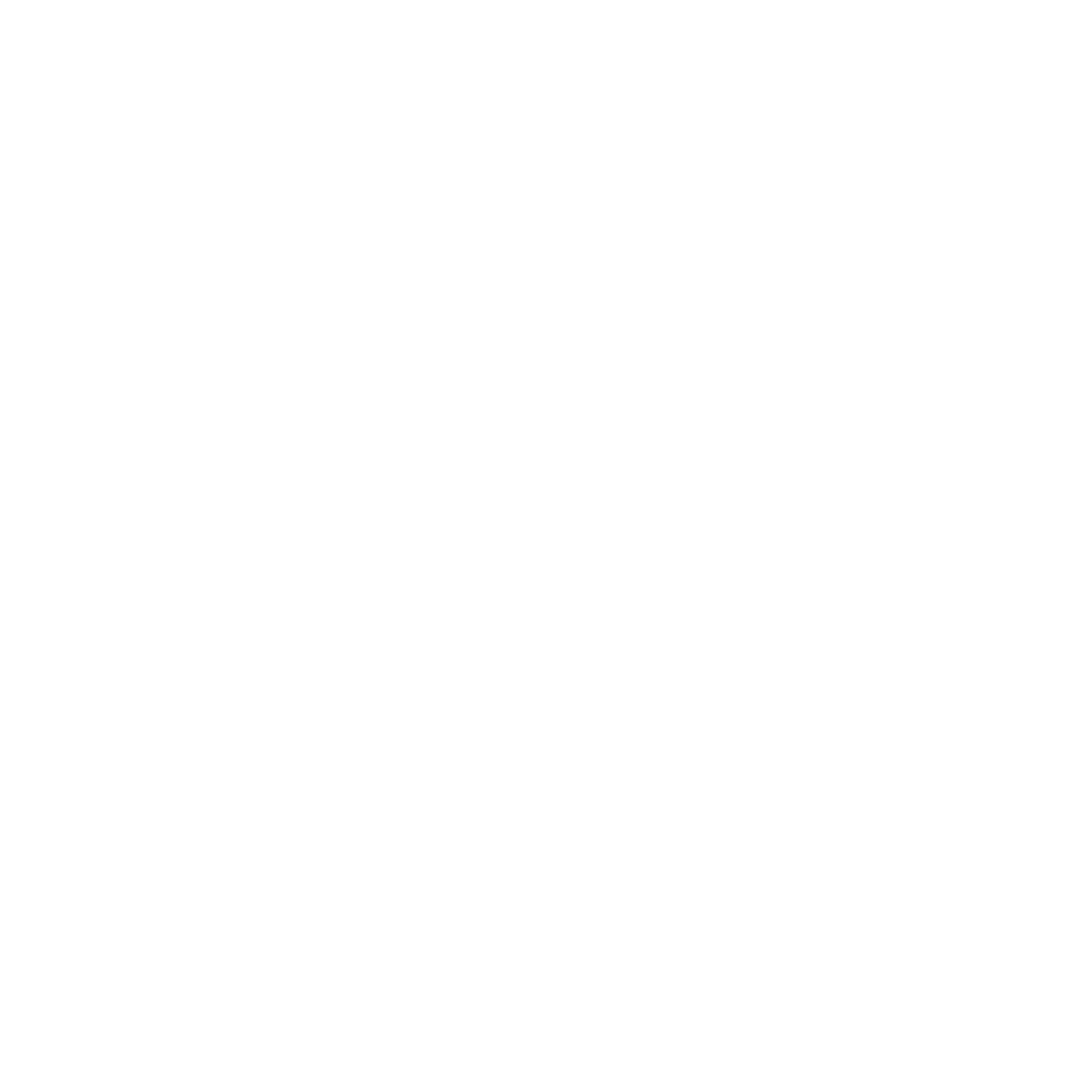 Copenhagen Solutions